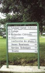 Peinture sur plastiques Javene